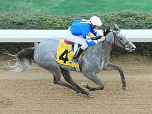 Now I Know wins the 2011 Delta Downs Princess.