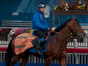 Now We Can - Woodbine, October 23, 2013.