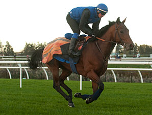 Now We Can - Woodbine, October 24, 2013.
