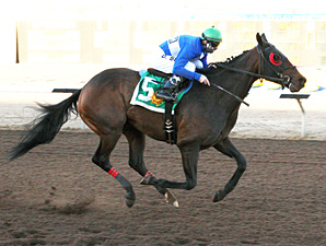 Neggets Please wins the Johnie L Jamison Stakes.