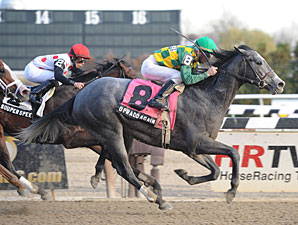 O'Prado Again wins the 2011 Remsen.
