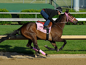 Oaks Lily - Churchill Downs April 27, 2012.