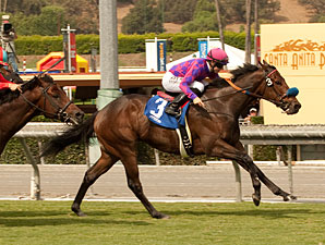 Obviously wins the 2012 Arroyo Seco Mile.