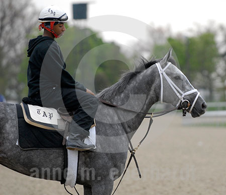 Octave @ Keeneland