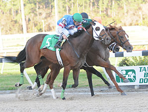 Odysseus wins the 2010 Tampa Bay Derby.
