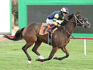 Of Royalty wins the 2013 Chandler Stakes.