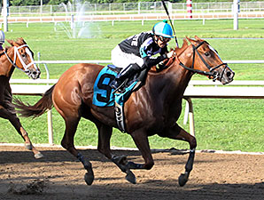 Off Cycle wins the 2014 Acadiana Stakes.