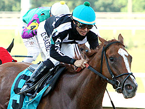 Off Cycle wins the 2014 Acadiana Stakes.