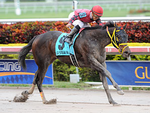 Off the Jak wins the 2013 Sunshine Millions Sprint.