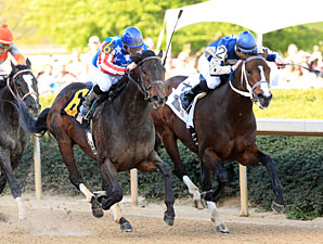 Officer Alex wins the 2013 Bachelor Stakes.