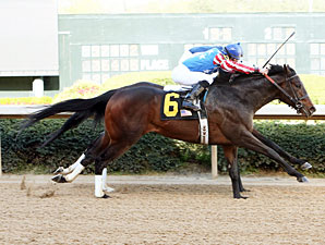 Officer Alex wins the 2013 Bachelor Stakes.