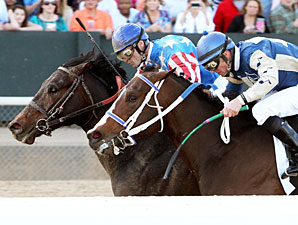 Officer Alex wins the 2013 Bachelor Stakes.