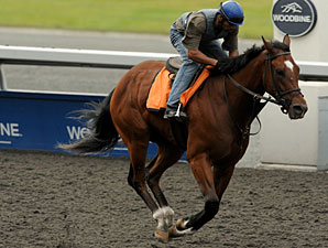 Oh Canada - Woodbine June 24, 2011.