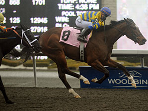 Oh Canada wins the 2011 Woodstock Stakes.