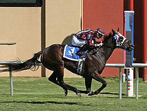 Okie Nova wins the Ladiesonthe Lawn Stakes.