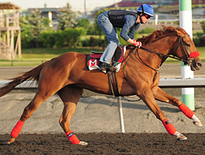 Okiyama on the track for the Queen's Plate.