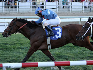 Old Bushmill wins the 2012 Dixie Poker Ace Stakes.
