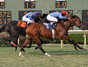 Old Bushmill wins the 2011 LA Cup Turf Classic.