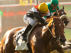 Old Time Hockey wins the 2012 La Jolla.