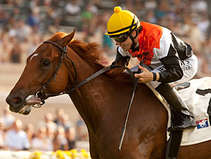 Old Time Hockey wins the 2012 La Jolla.