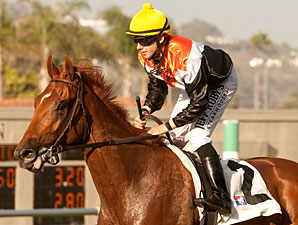 Old Time Hockey wins the 2012 La Jolla.