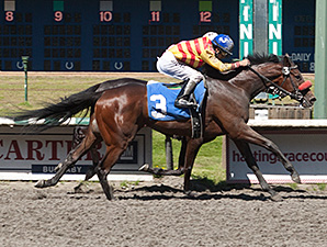 Ole's Miss wins the Emerald Downs.