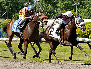 Ole's Miss wins the 2014 Emerald Downs Handicap.