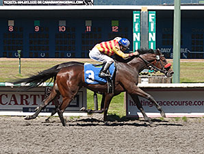 Ole's Miss wins the 2014 Emerald Downs Handicap.