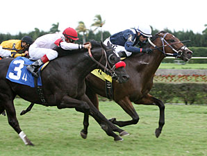 Oligarch wins the 2011 Tropical Park Derby.