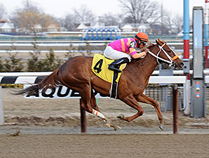 Oliver Zip wins the 2014 Fred Cappy Capossela Stakes.