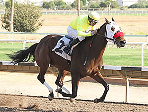 Omar wins the 2014 Caballos Del Sol Stakes.