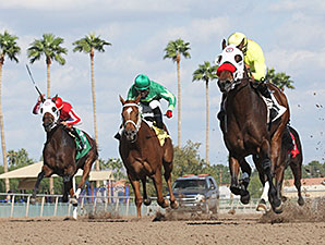 Omar wins the 2014 Caballos Del Sol Stakes.