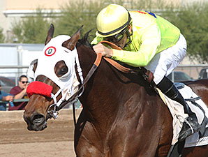 Omar wins the 2014 Caballos Del Sol Stakes.