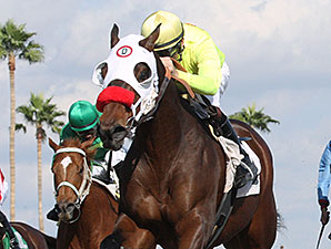 Omar wins the 2014 Caballos Del Sol Stakes.