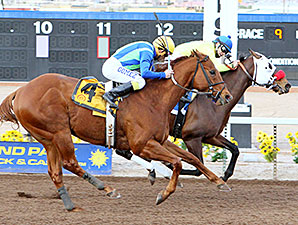 Omar wins the 2014 Klaq Handicap.