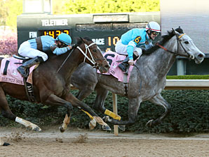 On Fire Baby wins the 2013 Apple Blossom.