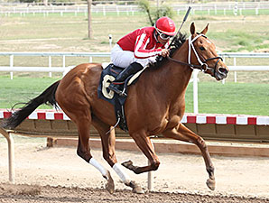 One More Wild Ride wins the 2014 Arizona Oaks.