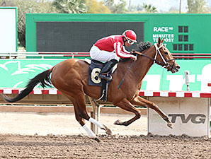 One More Wild Ride wins the 2014 Arizona Oaks.