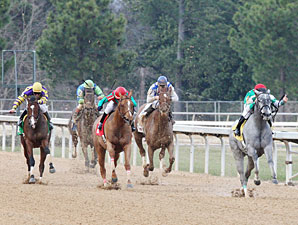 One Smokin' Lady wins the 2010 Spring Fever Stakes.
