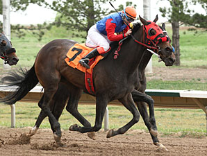 Oneotwo wins the Inaugural.