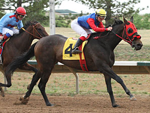 Oneotwo wins the George Wafer Memorial.