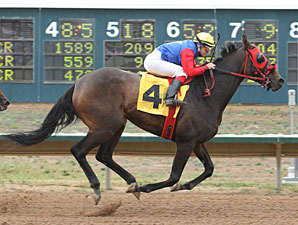 Oneotwo wins the George Wafer Memorial.