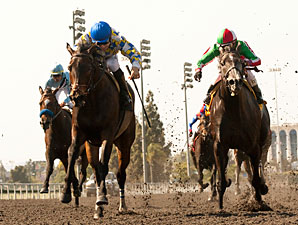 Open Water wins the 2013 Marjorie L. Everett Handicap.