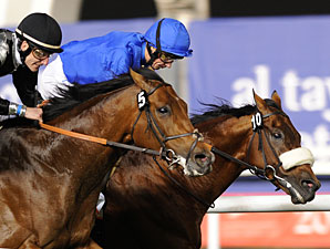 Opinion Poll in the Dubai Gold Cup.