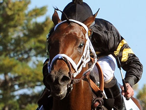 Optimizer in the DIxiana Breeders' Futurity. 