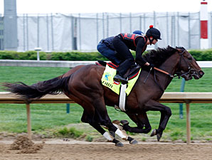 Orb works alongside Overwhelming at Churchill Downs April 29, 2013.