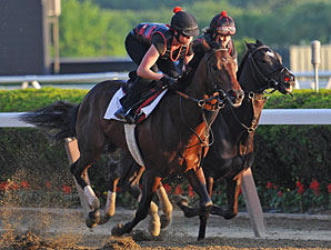 Orb works at Belmont Park 6/2/2013.