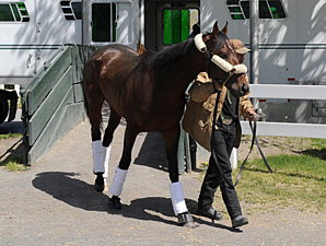Orb arrives at Belmont Park following the Kentucky Derby 5/5/2013.
