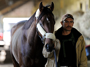 Orb at Belmont Park, May 5, 2013.