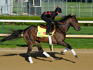 Orb - Churchill Downs, April 26, 2013.